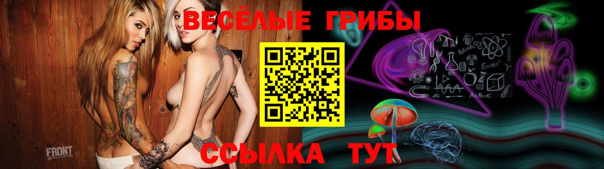 Псилоцибиновые грибы GOLDEN TEACHER  Псилоцибиновые грибы Cubensis  Белая Калитва  Вход с VPN 